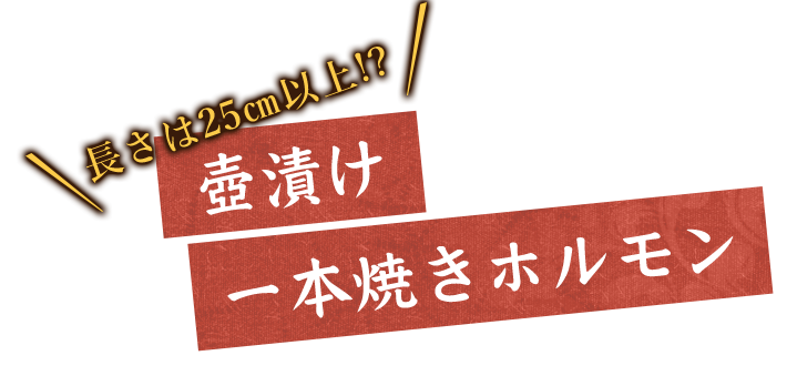 壺漬け 一本焼きホルモン